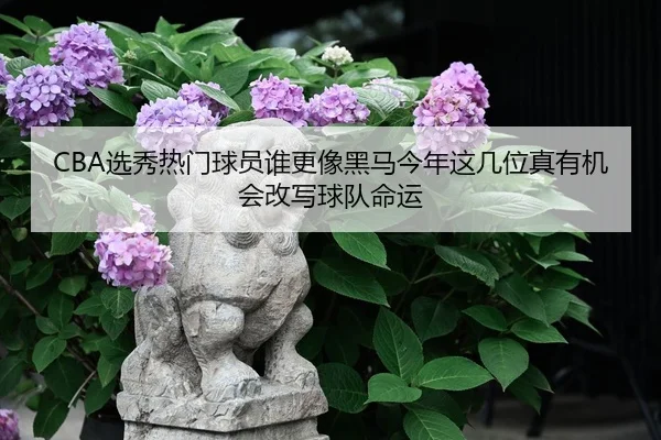 img_1779449646853_0_1_833.jpg